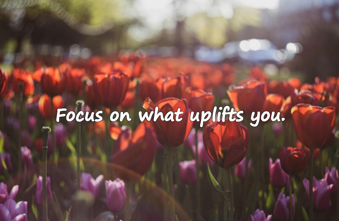 short sayings about life