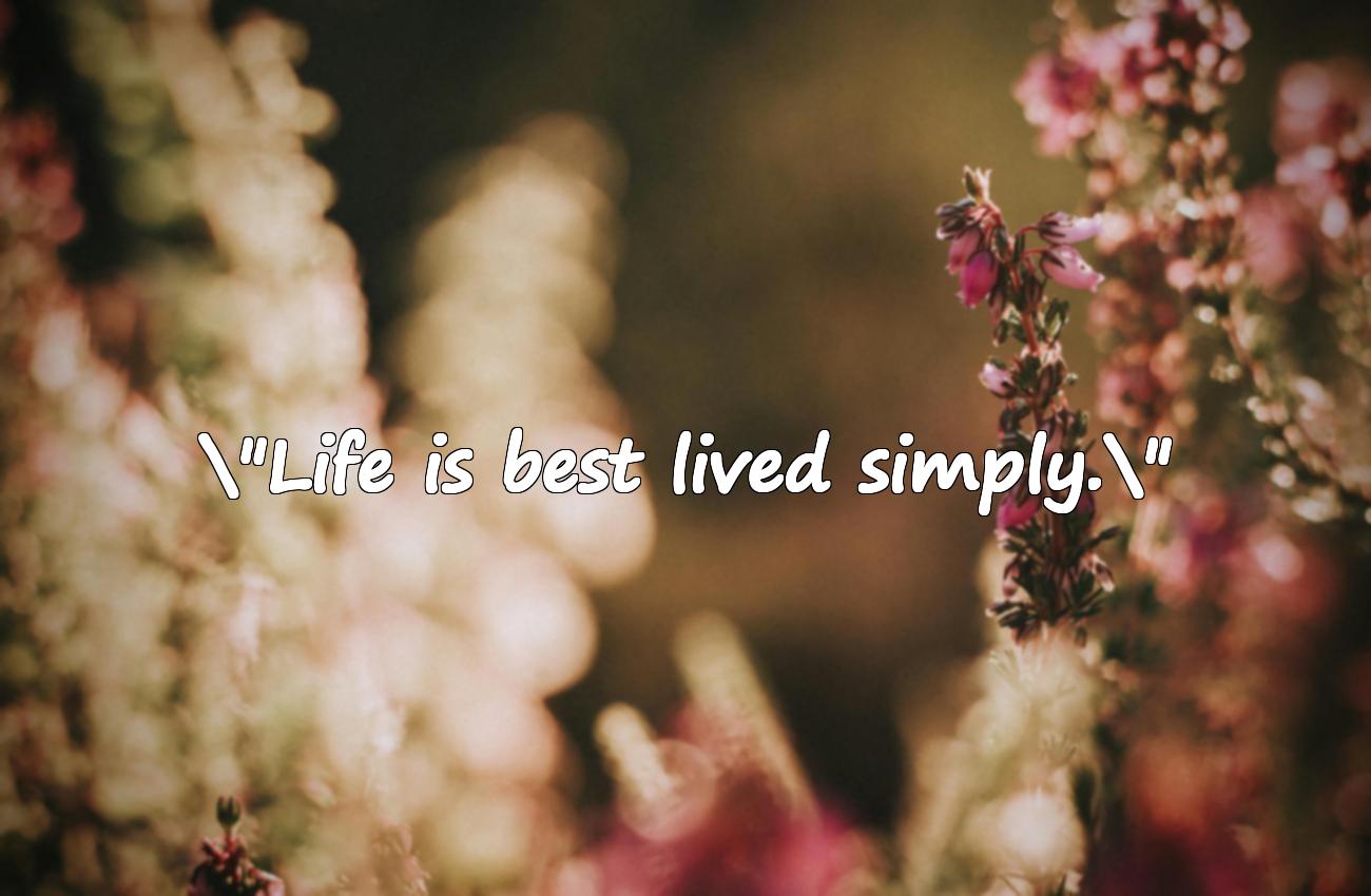 simple life quotes