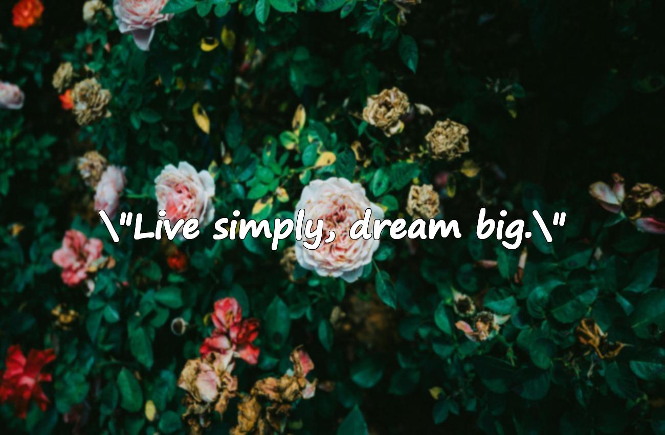 simple life quotes