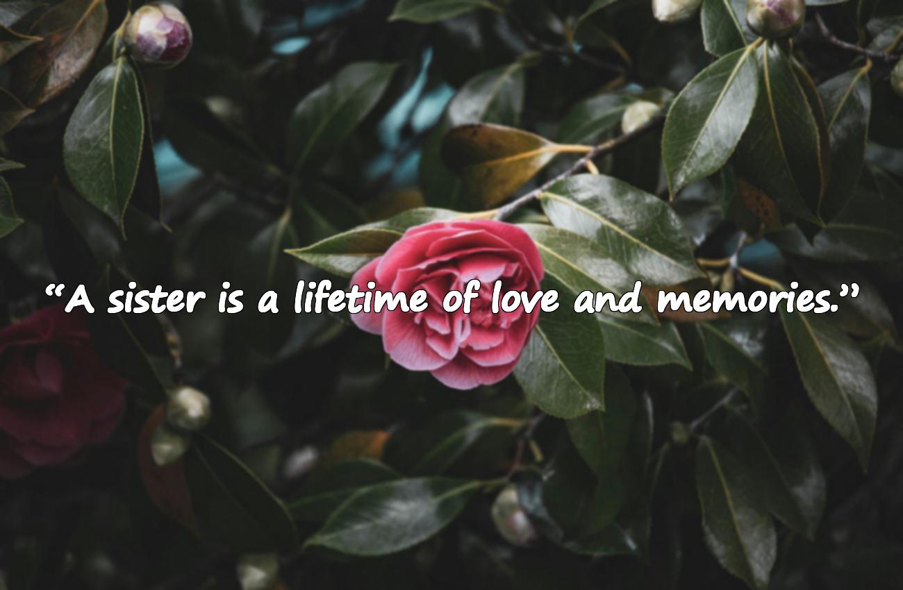 sister quotes