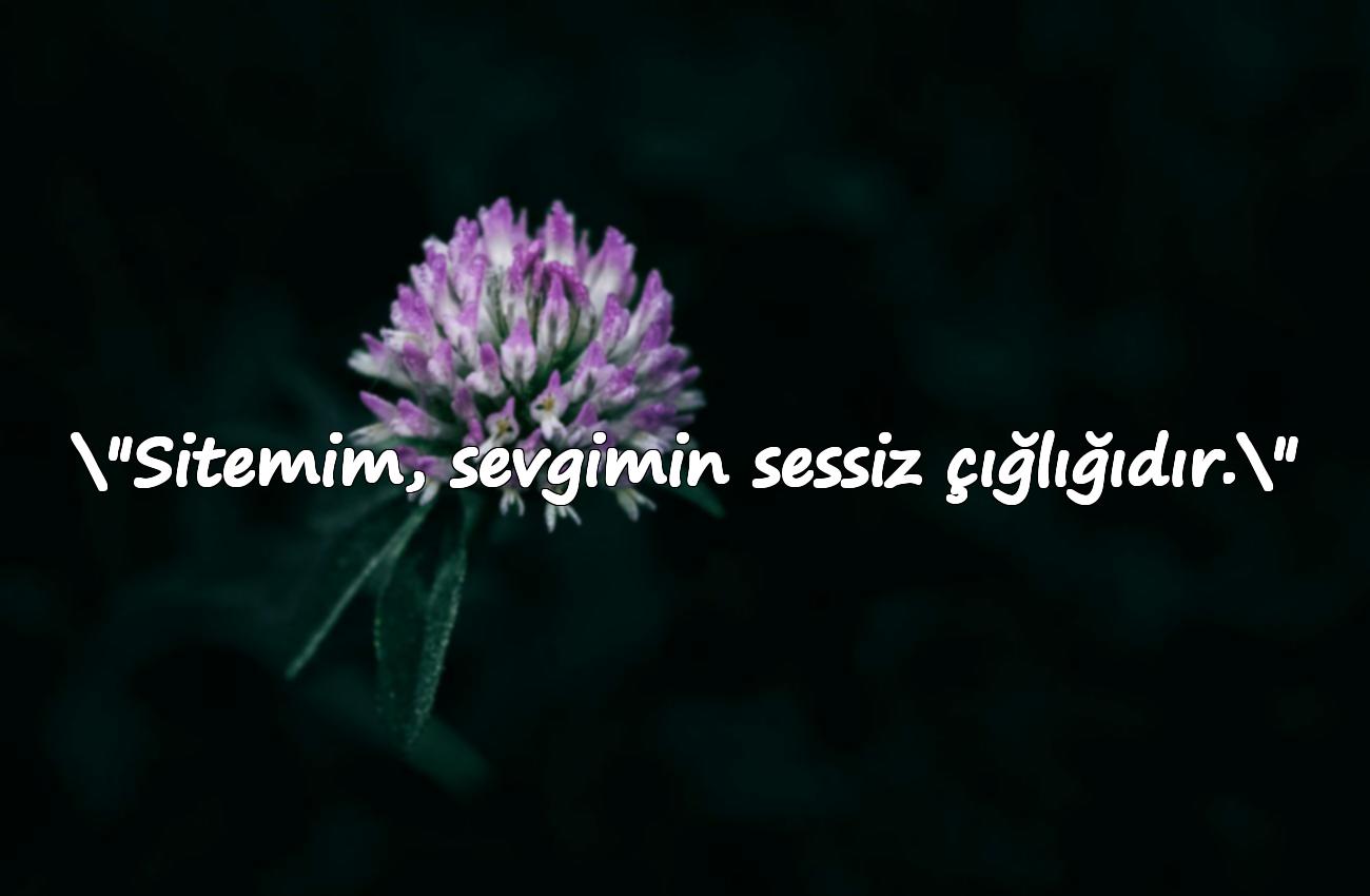 sitemli sözler