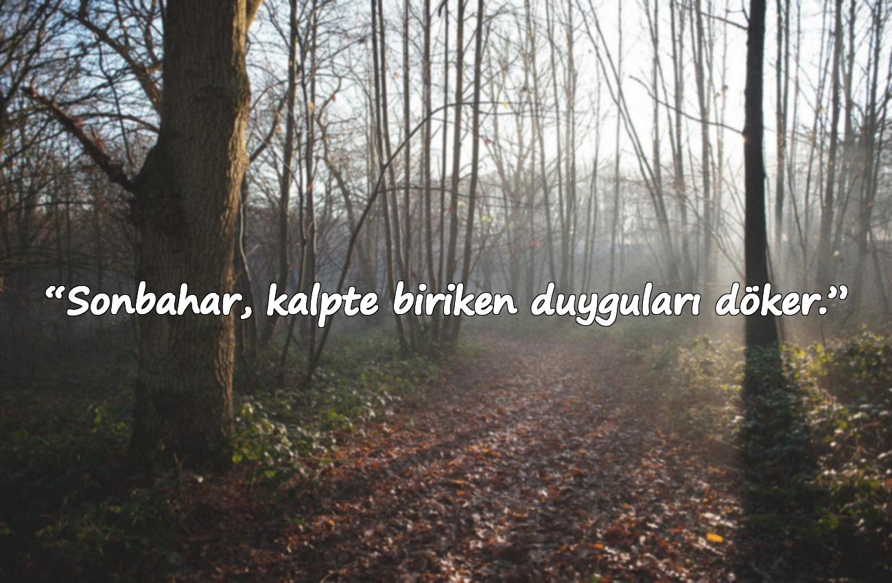 sonbahar sözleri