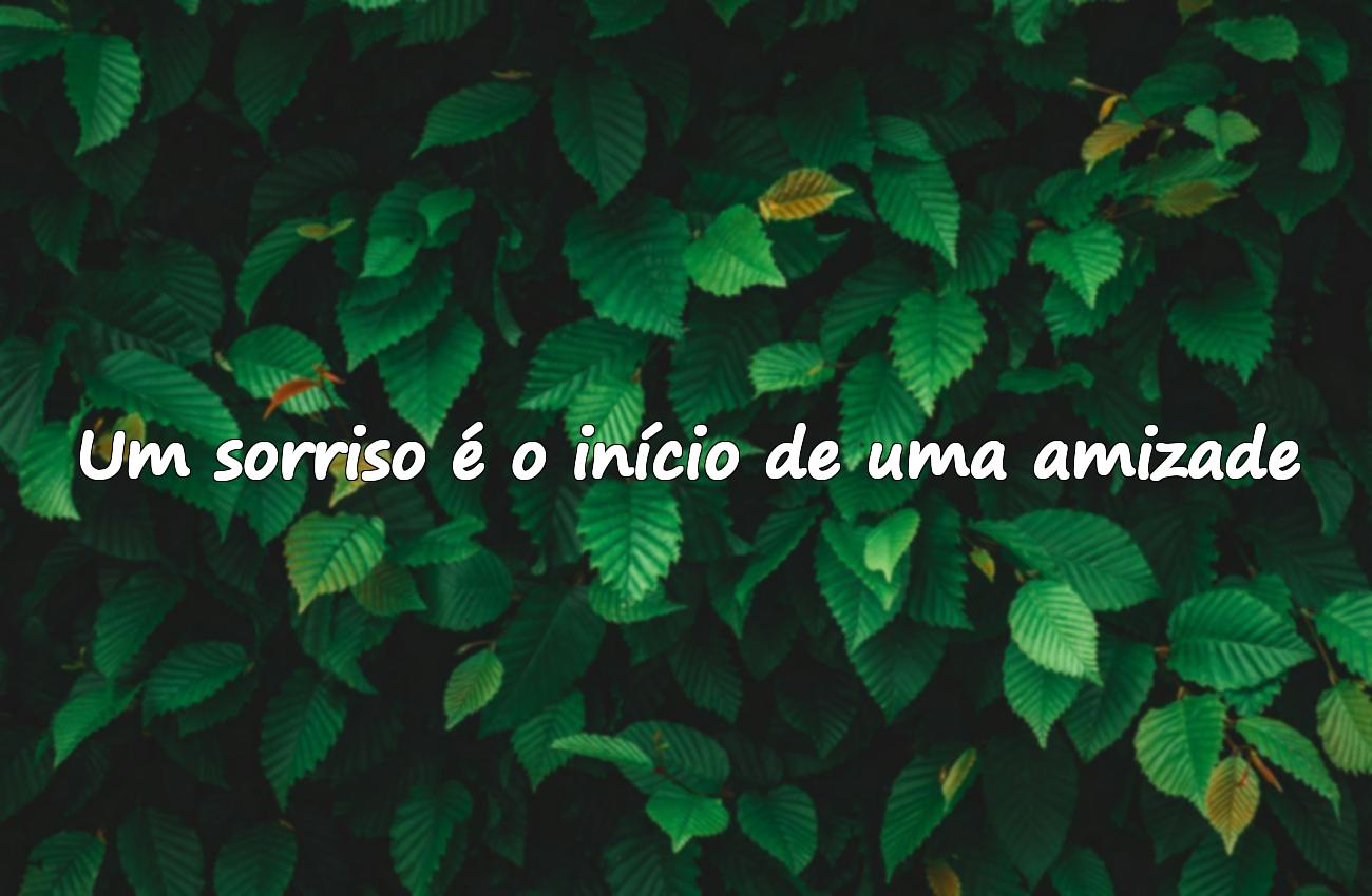 sorriso frases