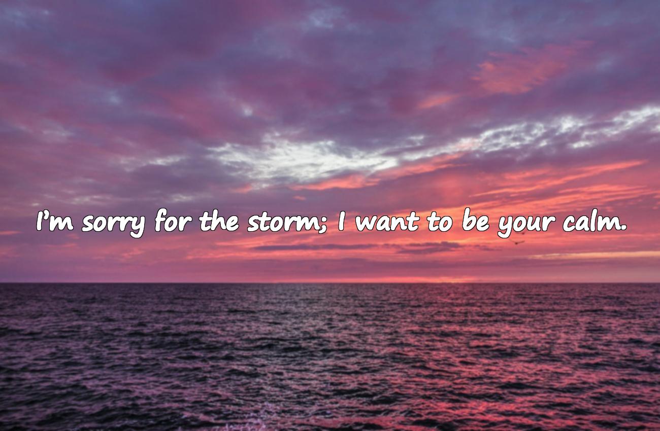 sorry quotes for love