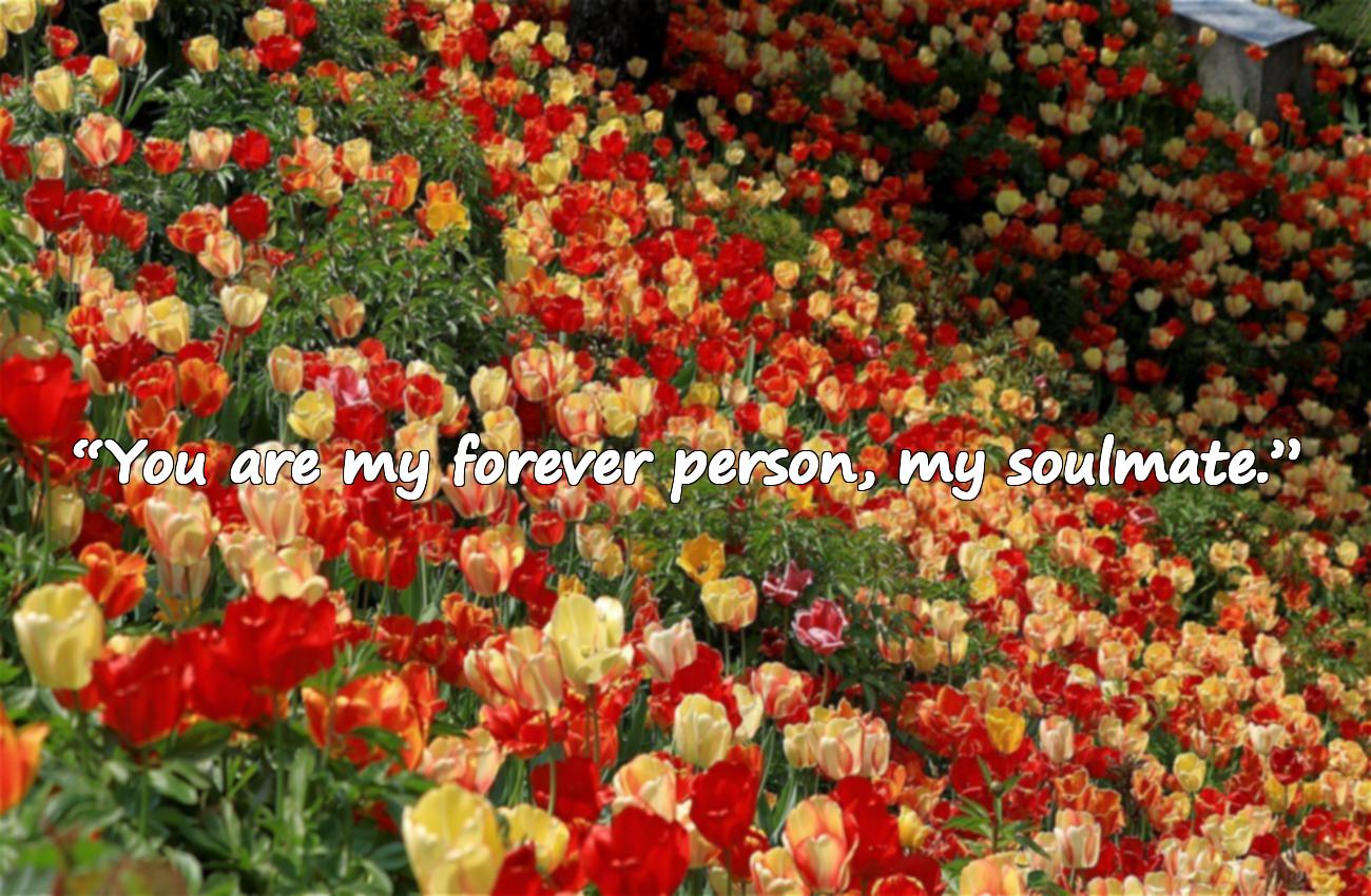 soulmate quotes