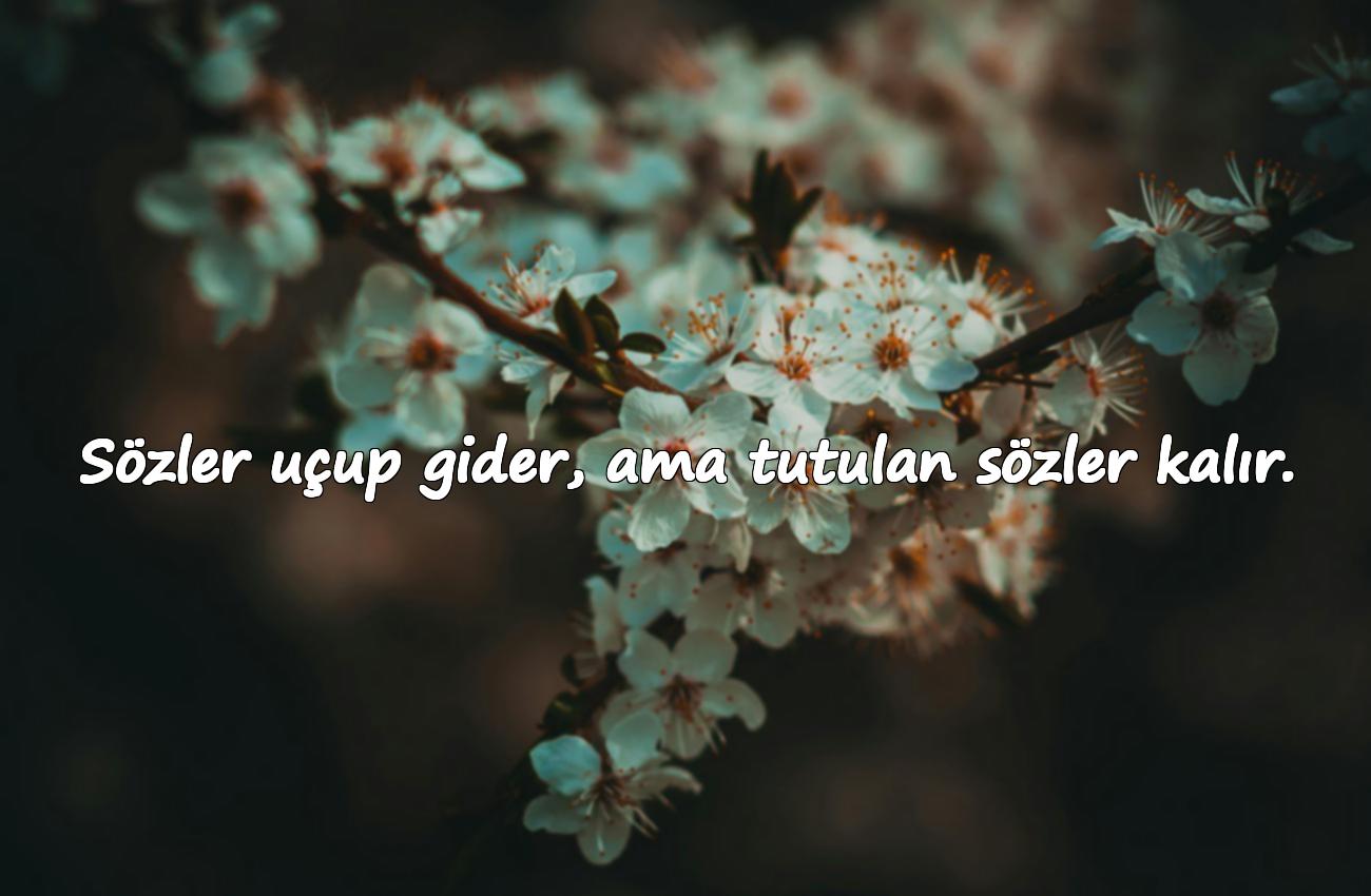 Söz vermekle ilgili sözler