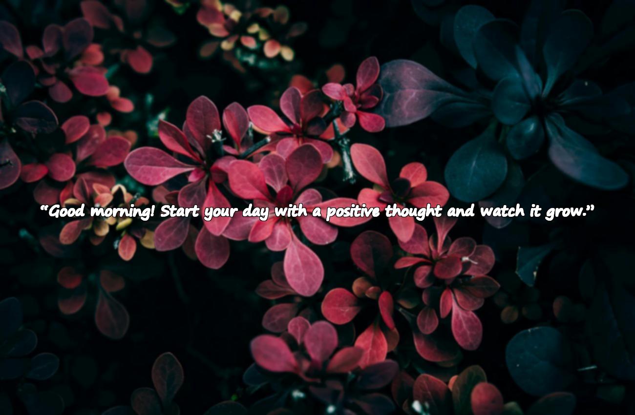 special good morning quotes