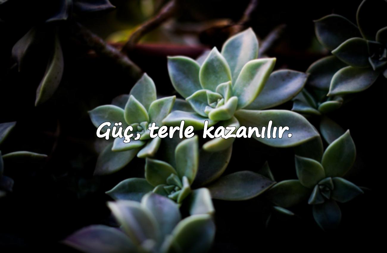 spor yapmakla ilgili sözler