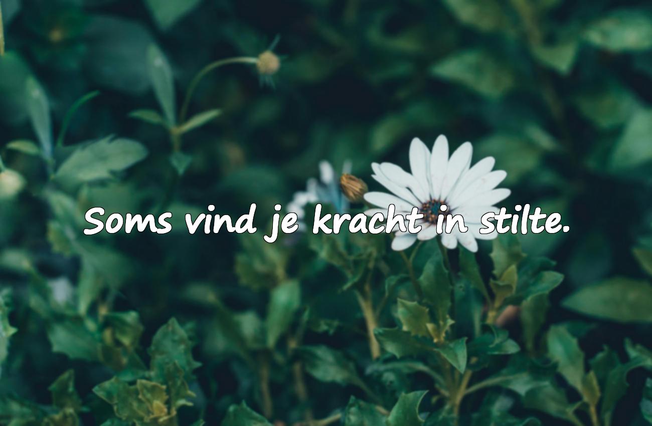 spreuken die je raken