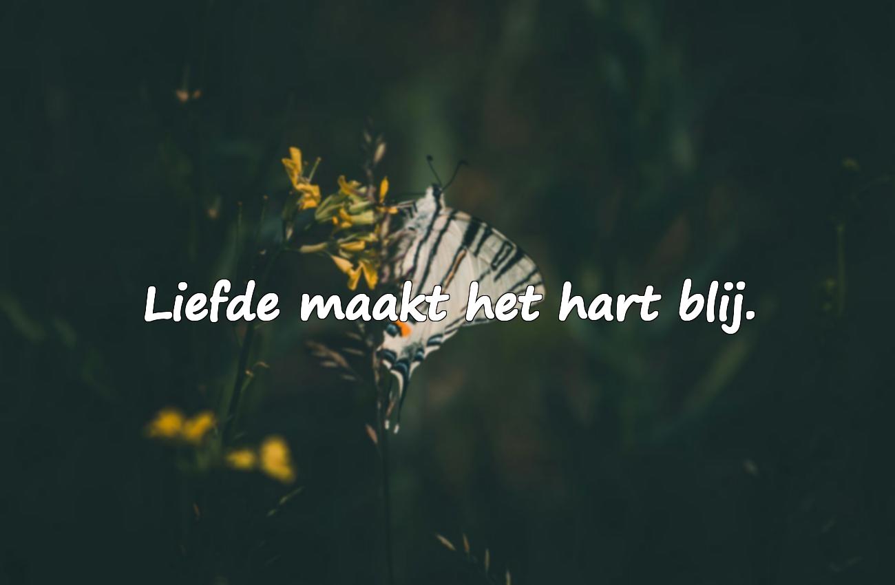 spreuken liefde en geluk