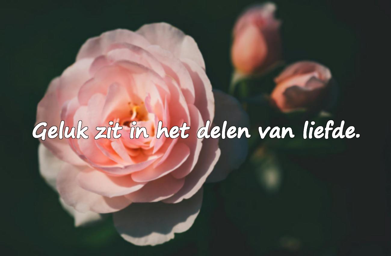 spreuken liefde en geluk