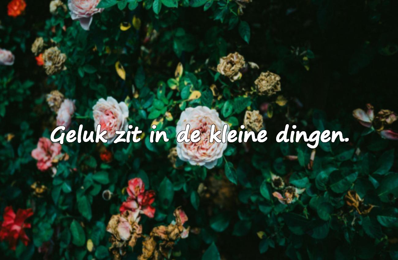 spreuken over het leven