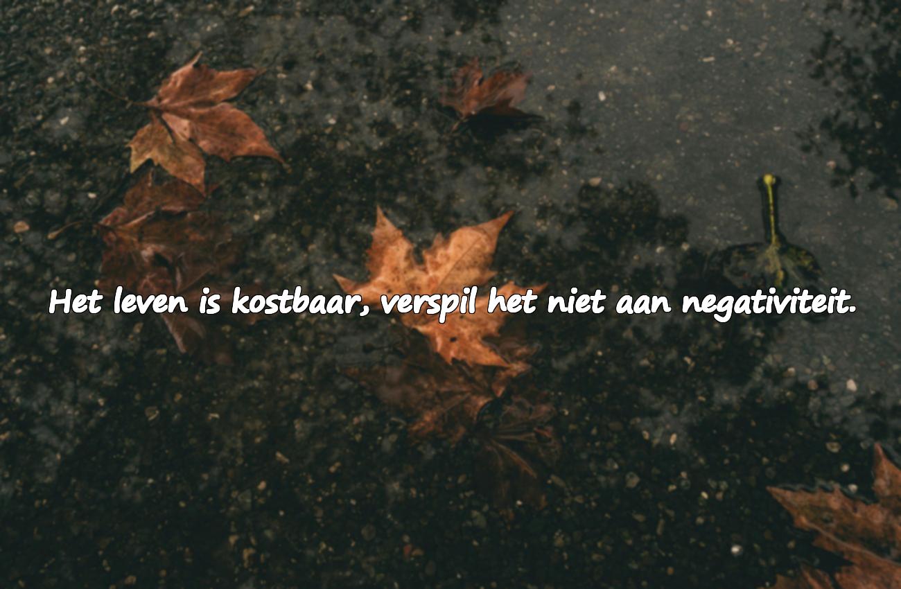 spreuken over het leven