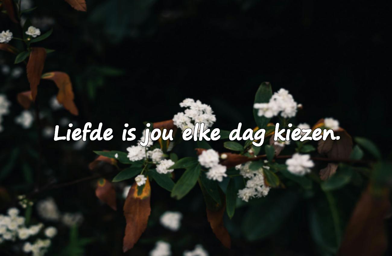 spreuken valentijnsdag