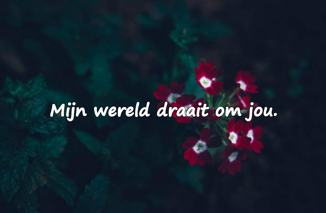 spreuken valentijnsdag