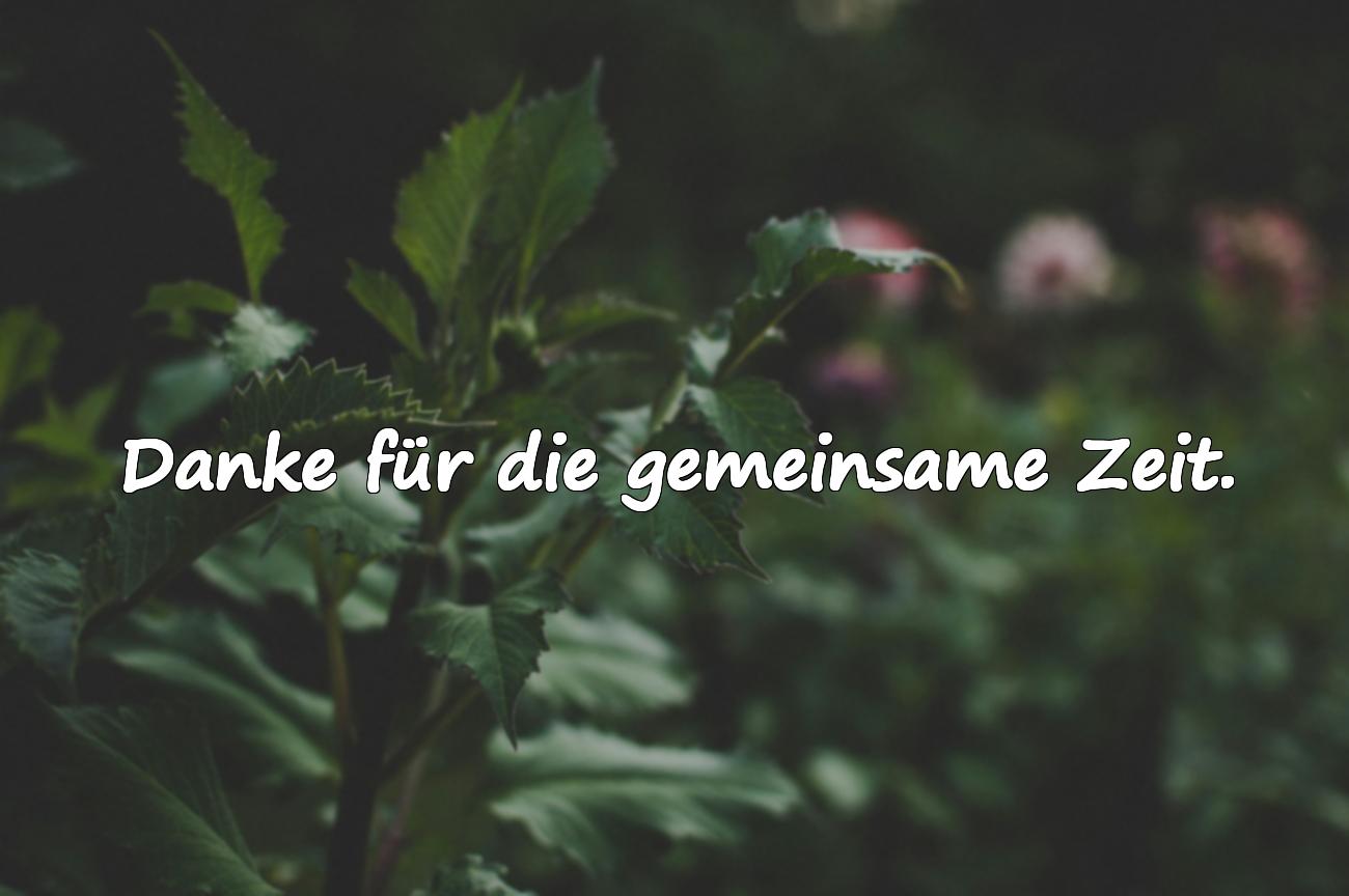 spruch abschied