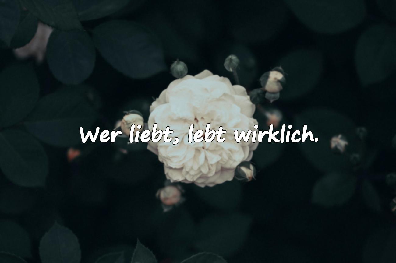 Spruch Leben