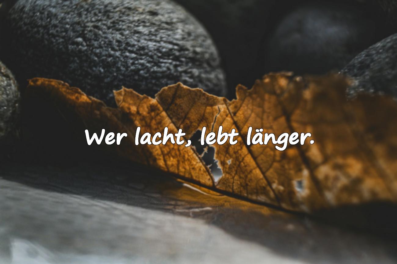Spruch Leben