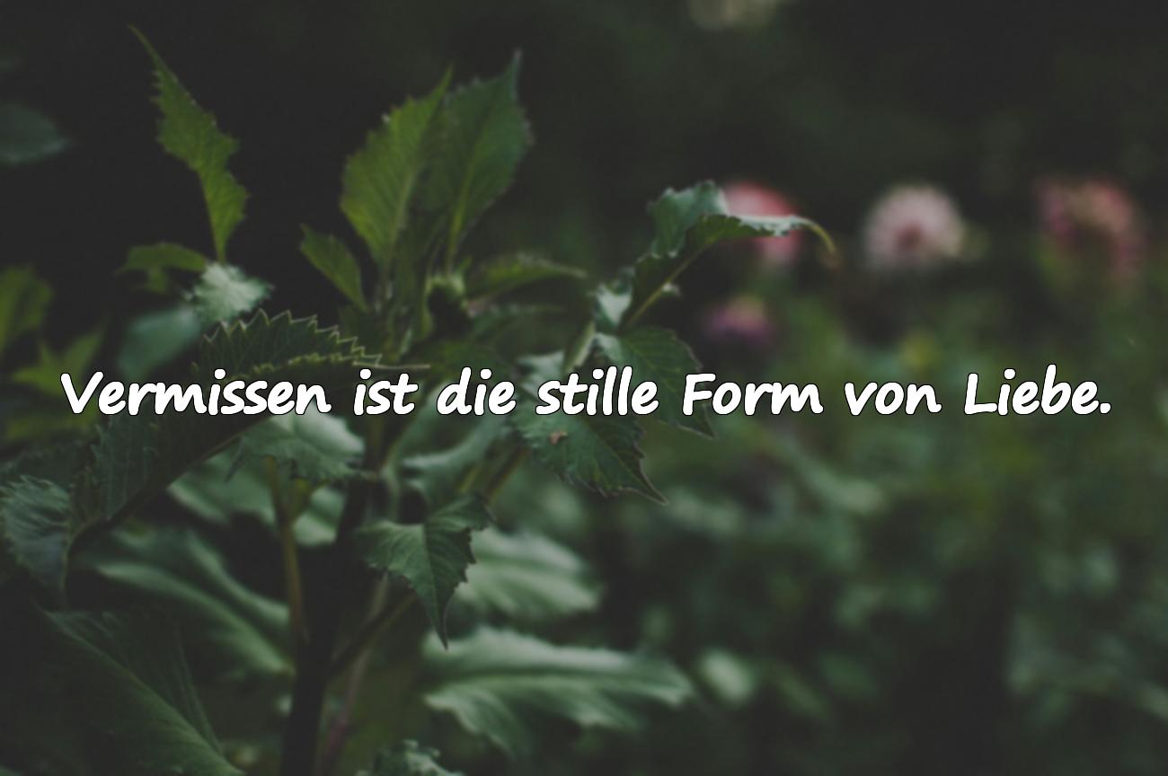 spruch vermissen