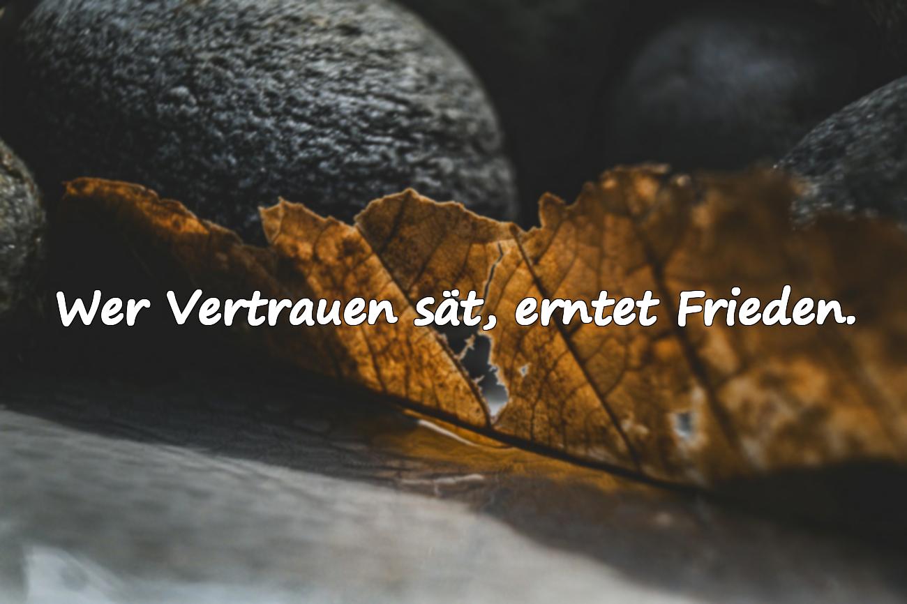 spruch vertrauen