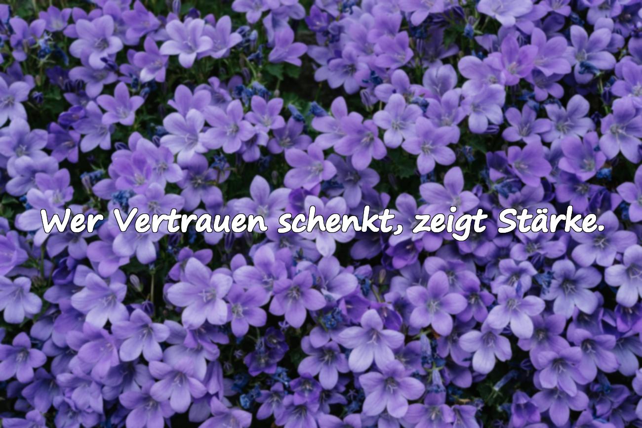 spruch vertrauen