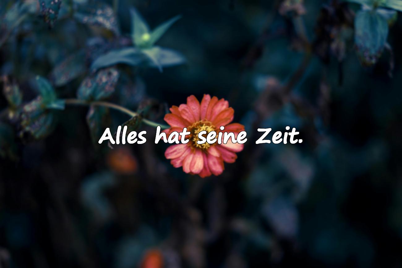 Spruch Zeit