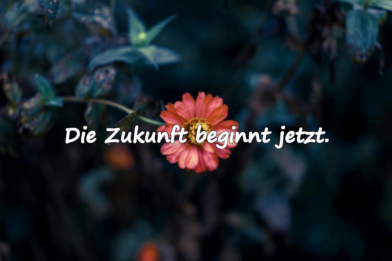 Spruch Zeit