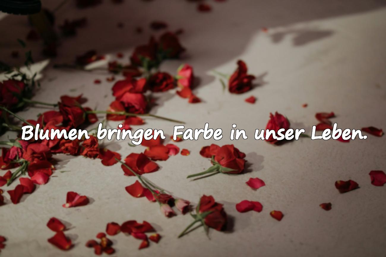 sprüche blumen