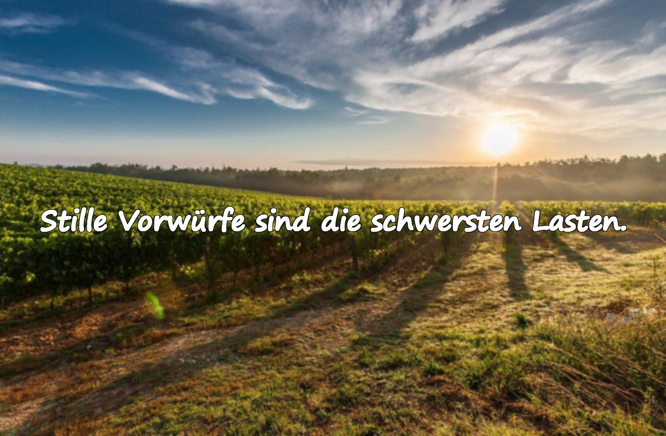 Sprüche des Vorwurfs