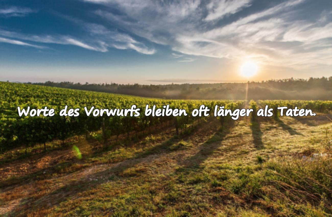 Sprüche des Vorwurfs