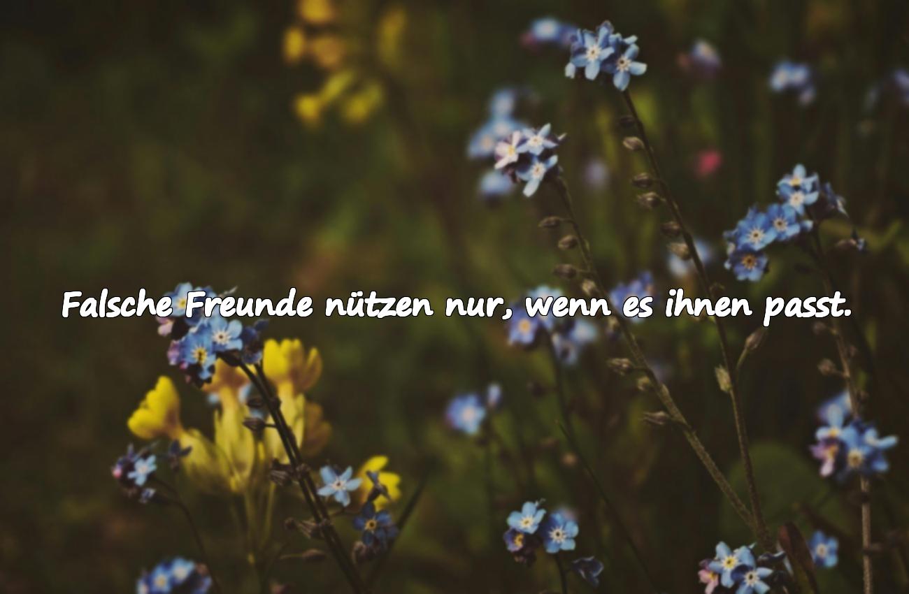 sprüche falsche freunde