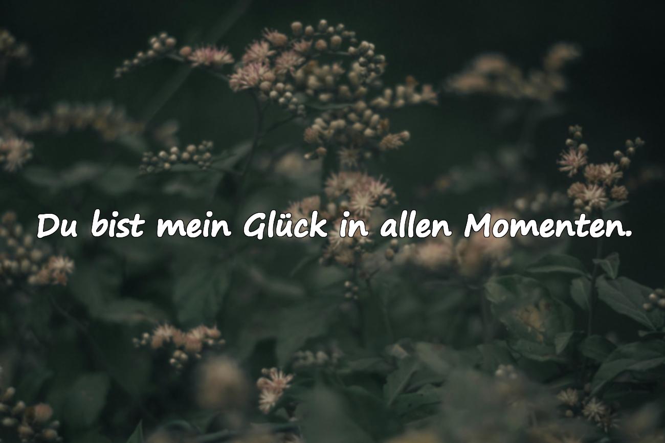 Sprüche für den Geliebten