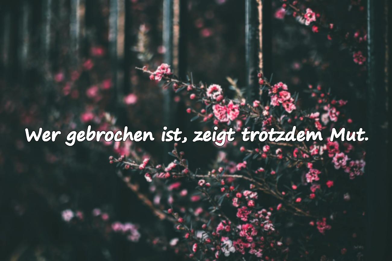 Sprüche für gebrochene Menschen