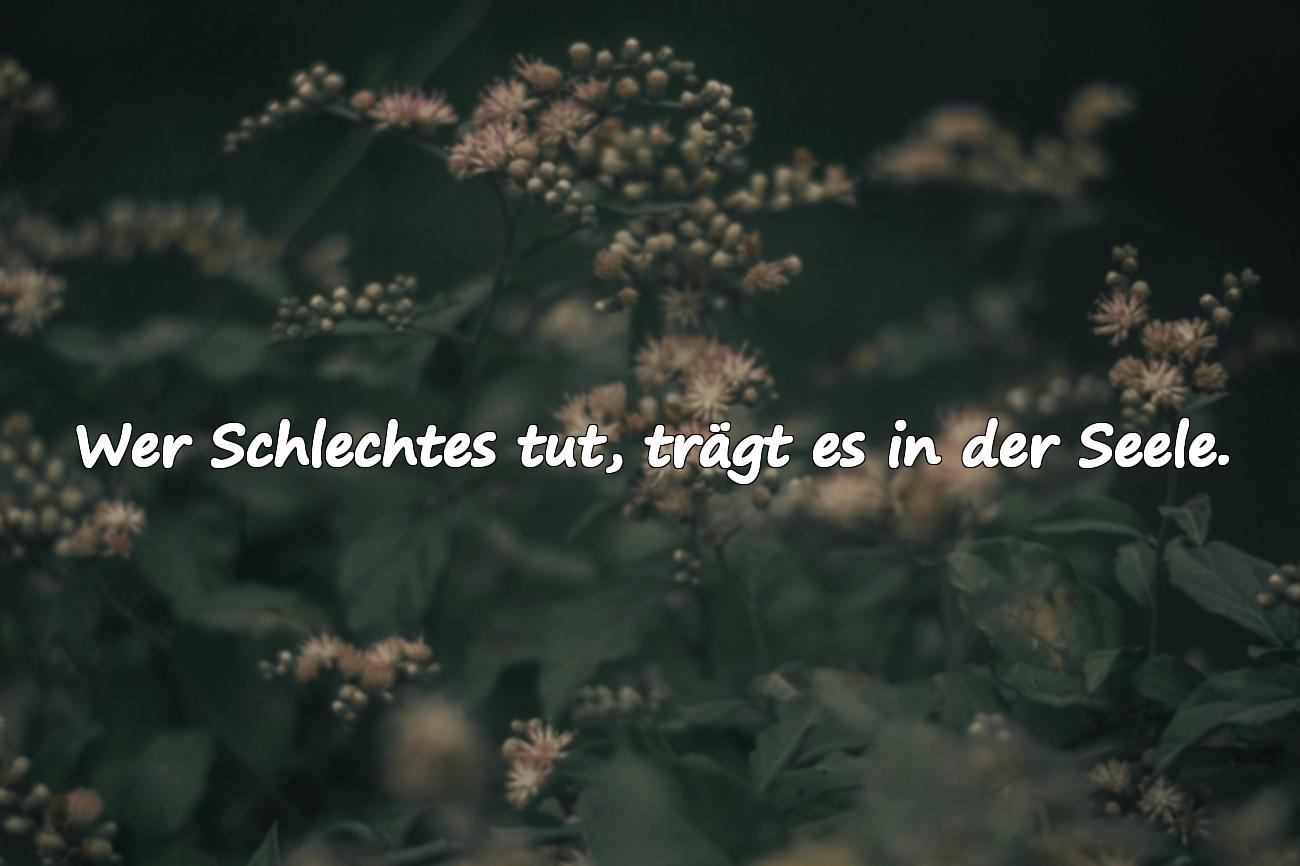 Sprüche für schlechte Menschen