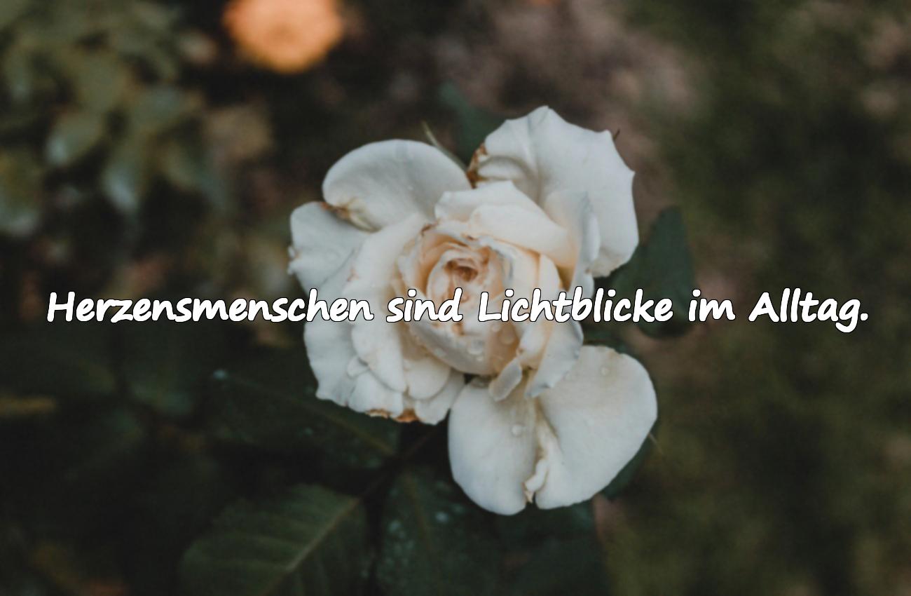 sprüche herzensmensch