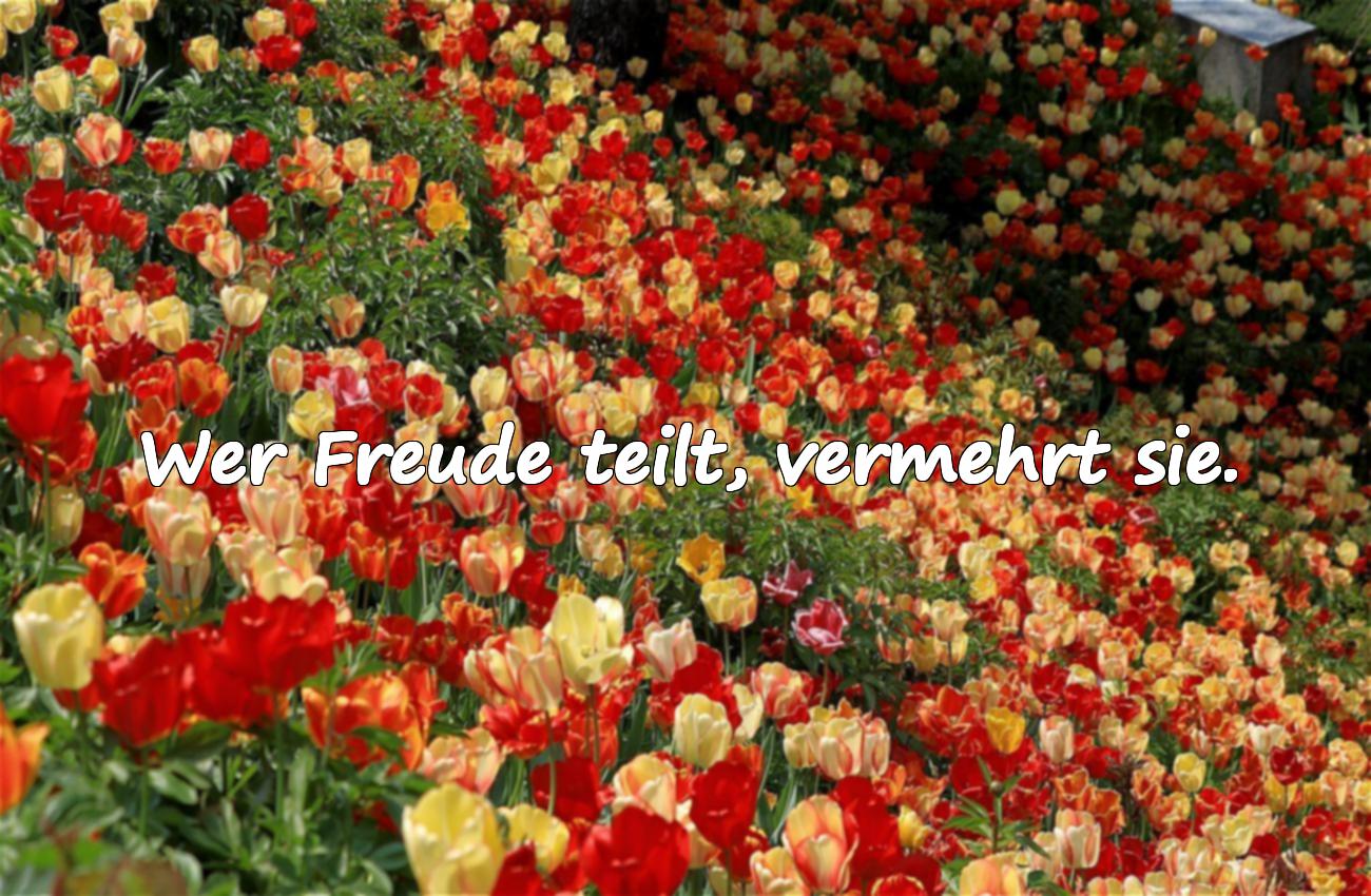 sprüche leben genießen lachen