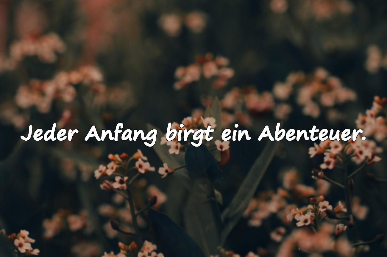 sprüche neuer lebensabschnitt