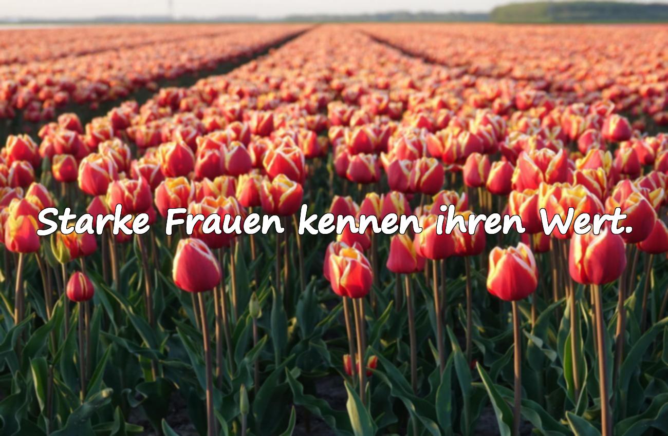 sprüche starke frauen
