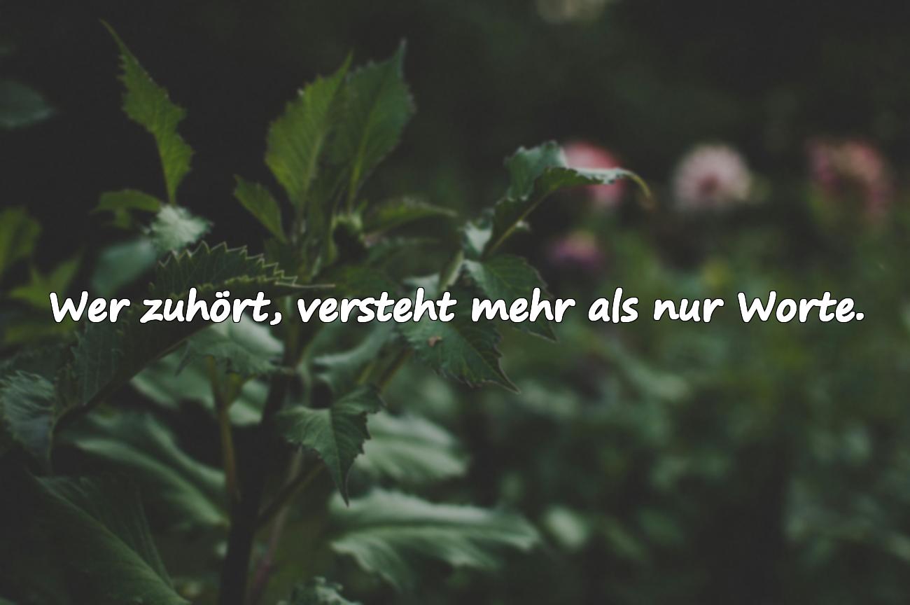 Sprüche über Aufmerksamkeit Geben