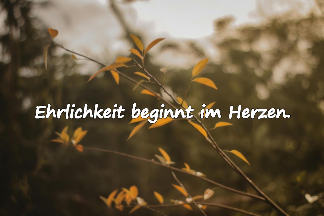 Sprüche über Aufrichtigkeit