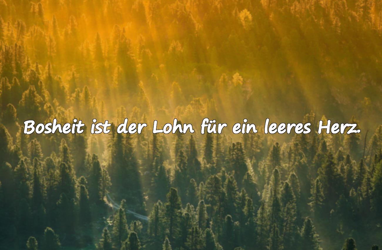 Sprüche über Bosheit