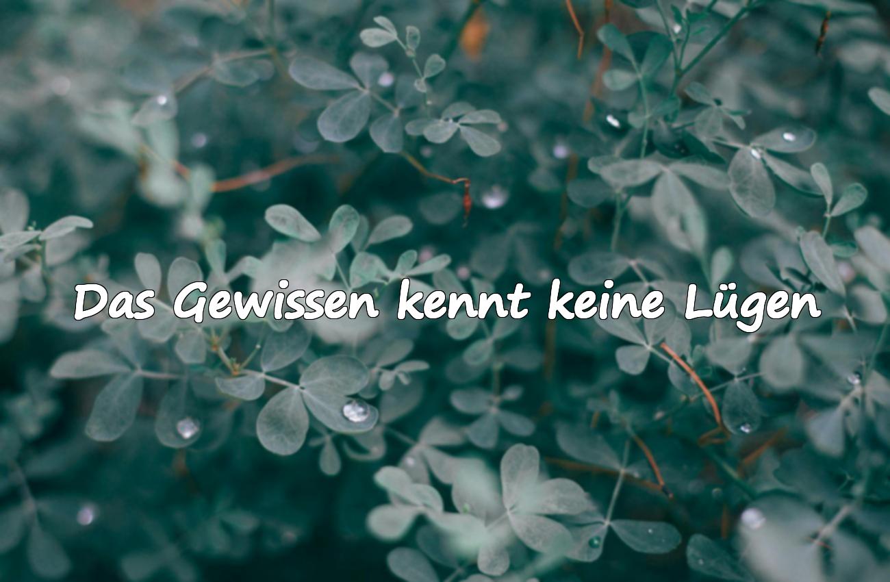 Sprüche über das Gewissen