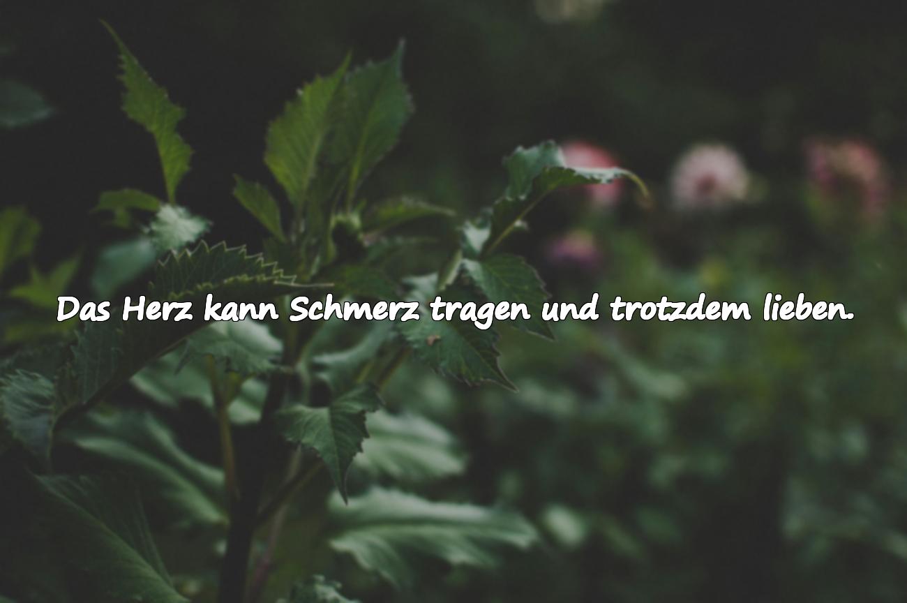 Sprüche über das Herz