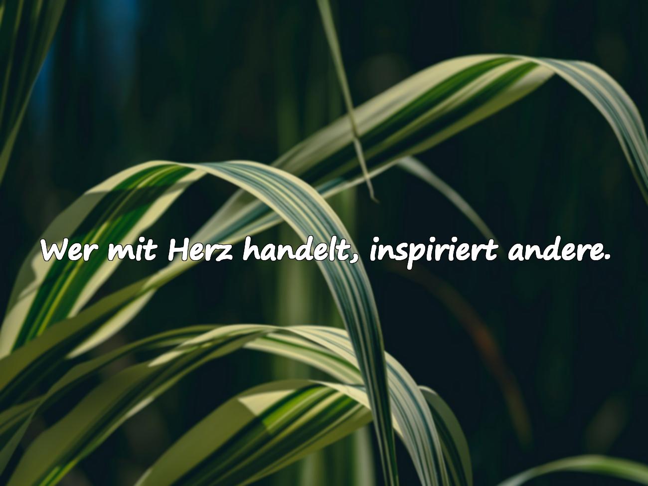 Sprüche über das Herz