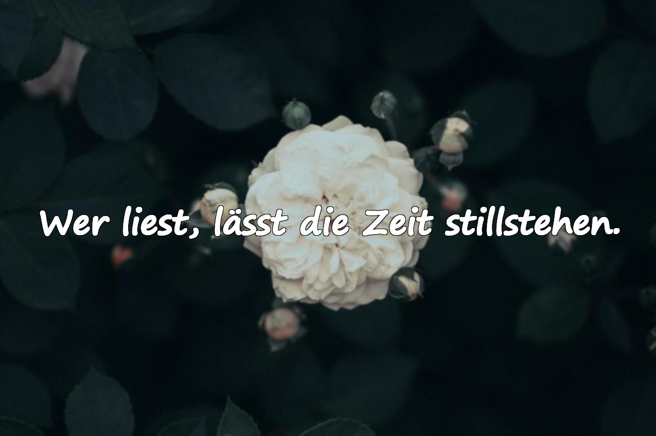 Sprüche über das Lesen von Büchern