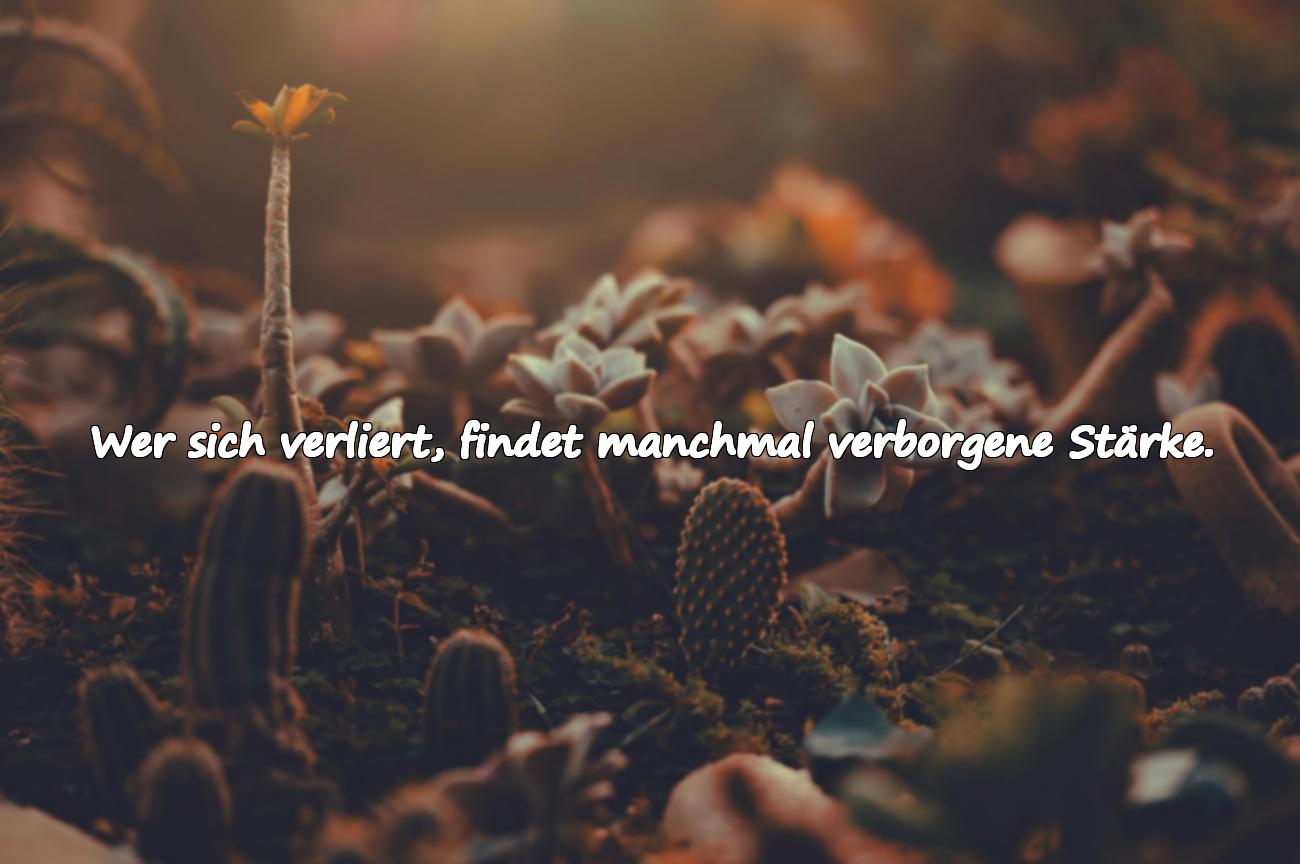 Sprüche über das Sich-Verlieren