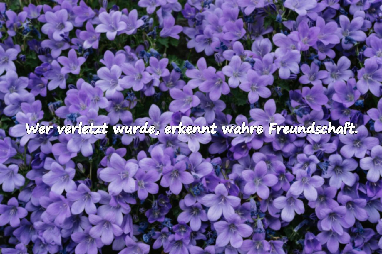 Sprüche über das Verletztsein