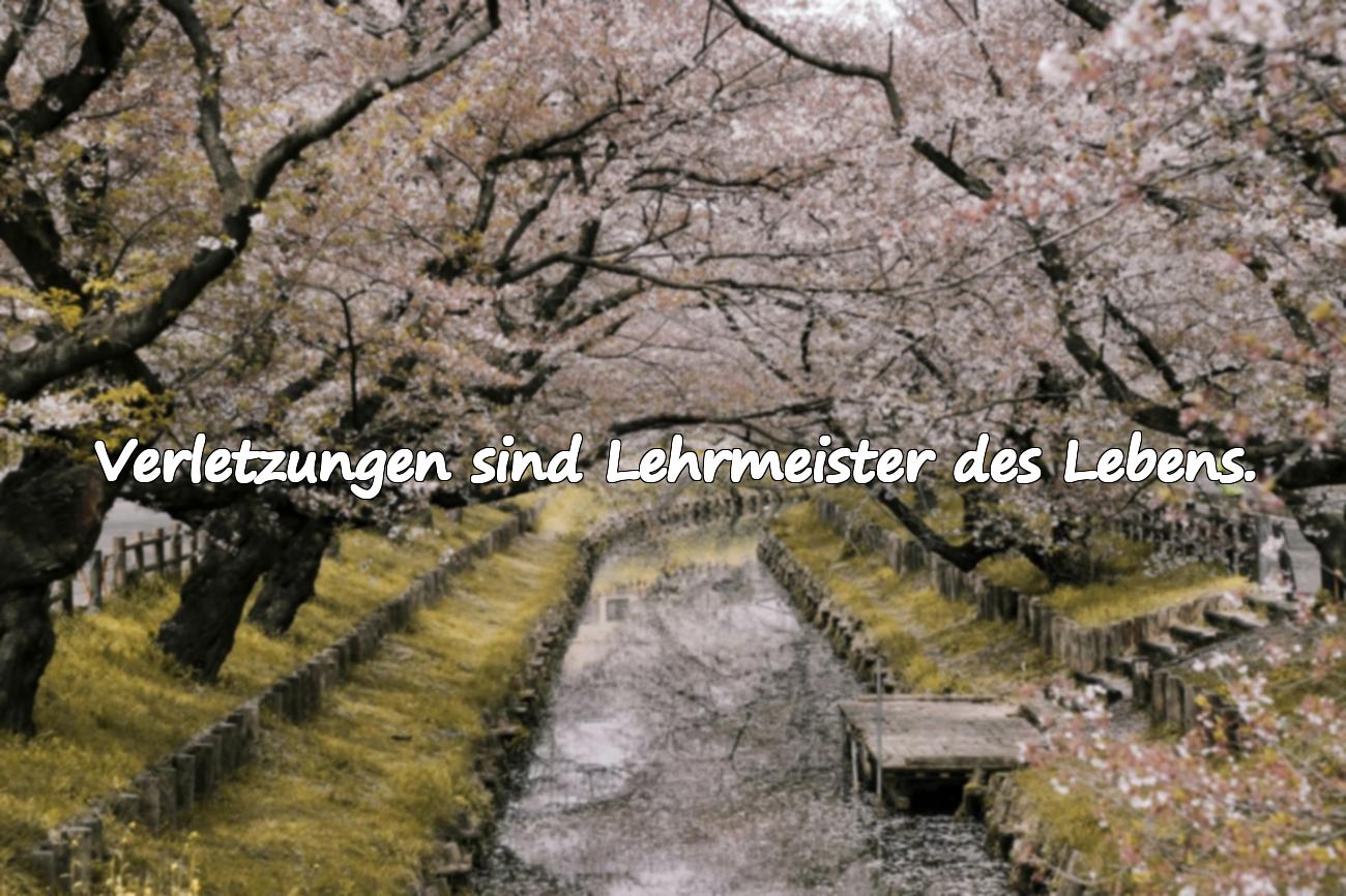 Sprüche über das Verletztsein