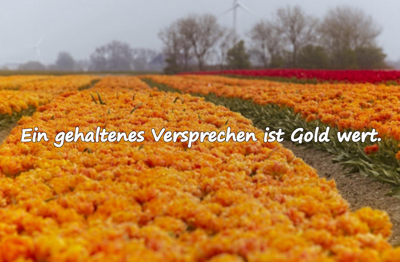 Sprüche über das Versprechenhalten