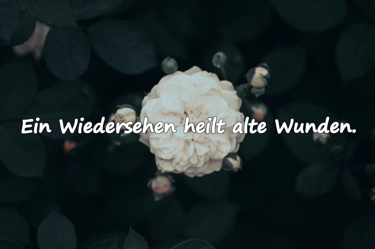 Sprüche über das Wiedersehen